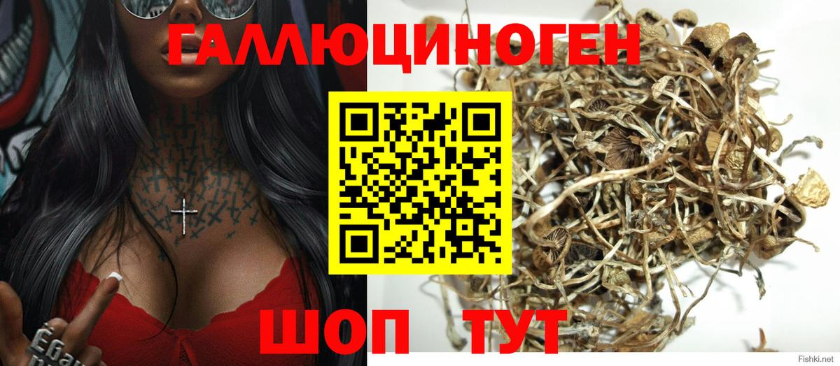 Псилоцибиновые грибы мухоморы Красный Сулин