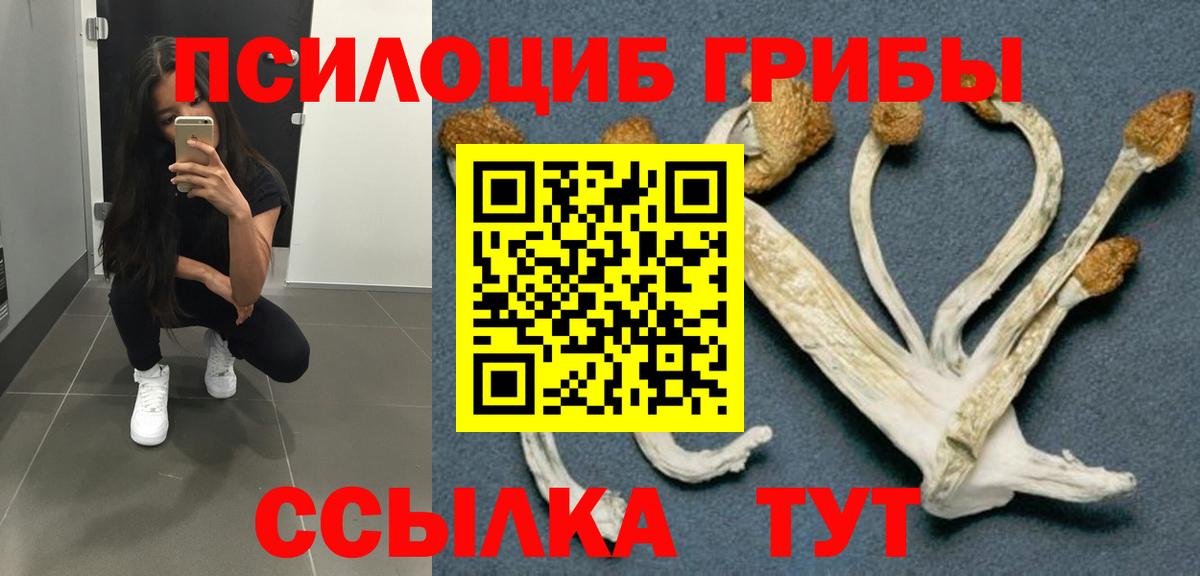 Псилоцибиновые грибы GOLDEN TEACHER  Вход с VPN  Красный Сулин 